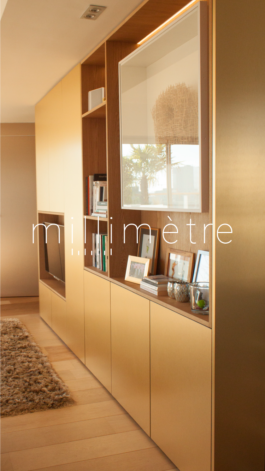 Millimètre ébéniste agencement nantes accueil slider mobile salon